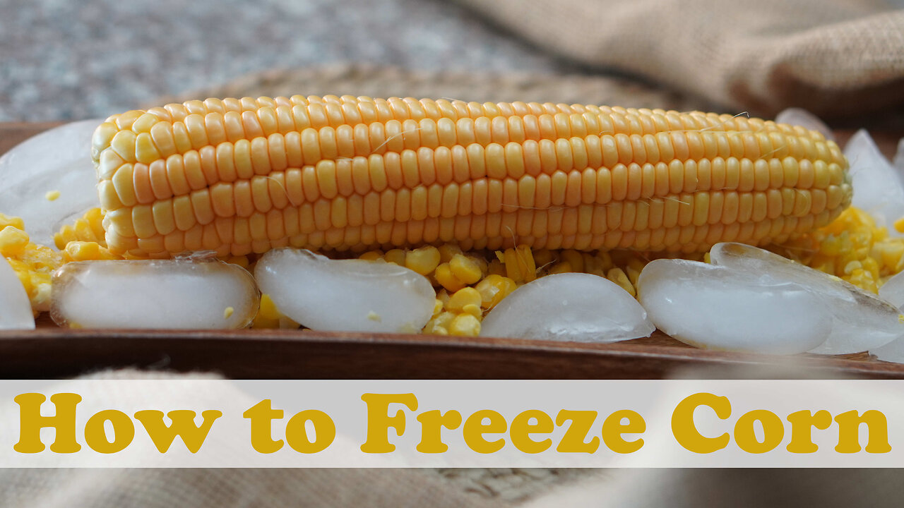 How to Freeze Corn for Long-Term Storage