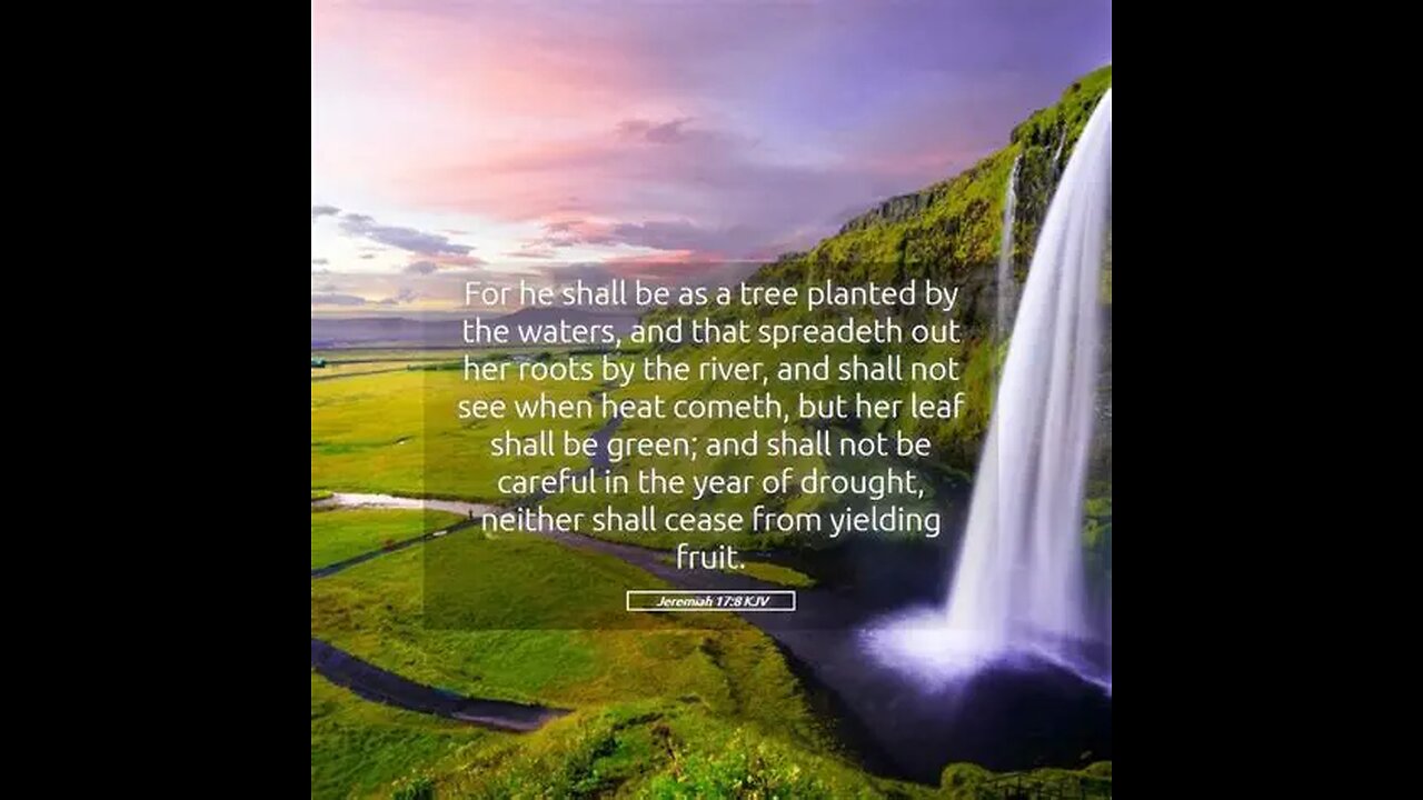 Psalm 1 to 13 KJV