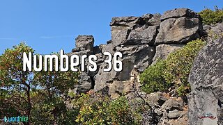 Numbers 36, Bible Reading in Nature, BSB