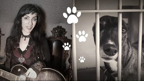 Dogs | Mary Singer | Original Music