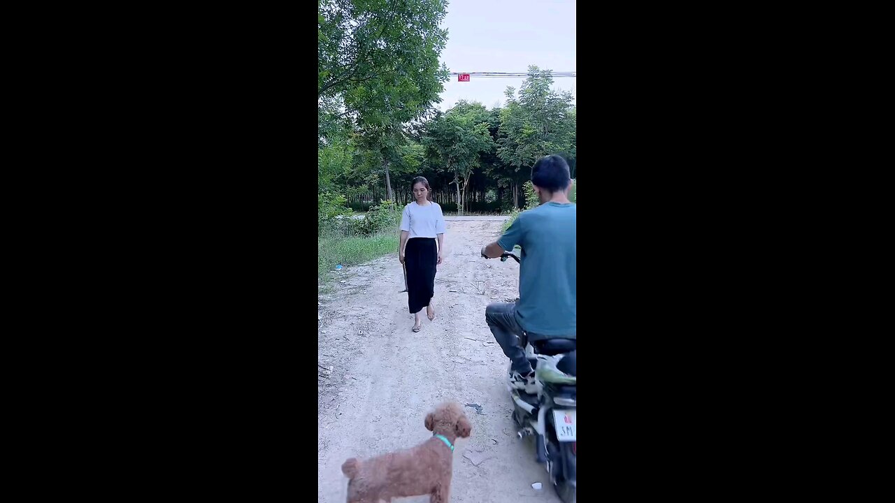 Funny Happy With Girls Friends