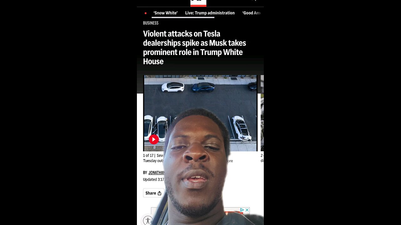 domestic terrorists are attacking Teslas