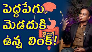 పెద్ద పేగు, మెడదుకి ఉన్న లింక్ ? Link Between Large intestine and Brain? Homeopathy Medicine Cure