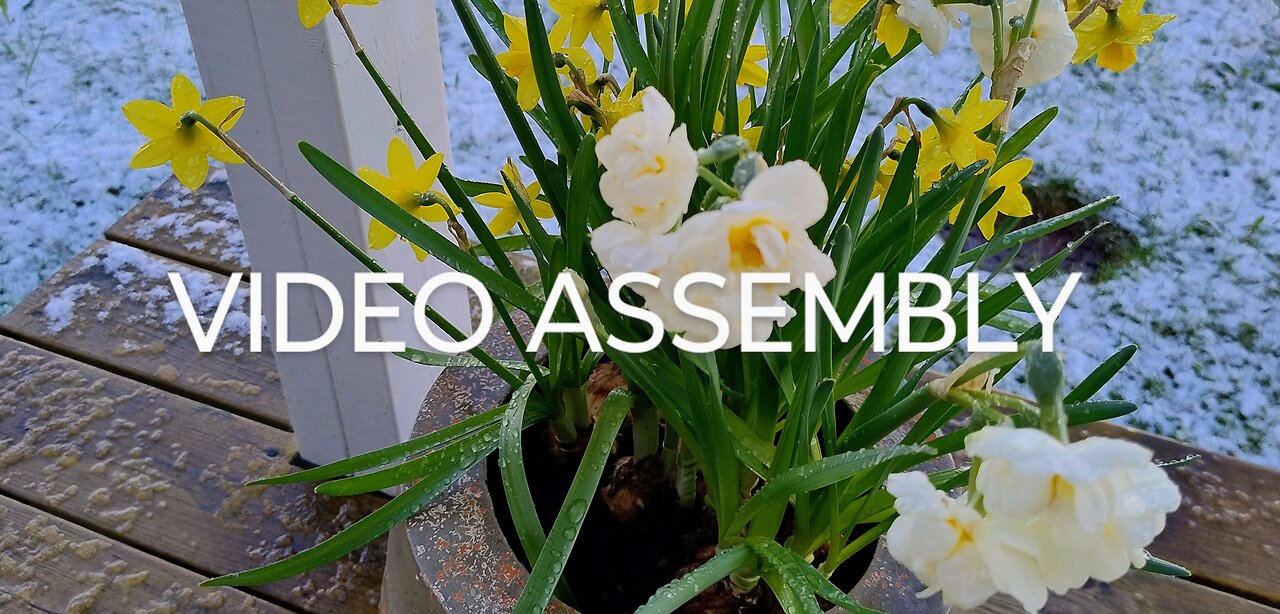 VIDEO ASSEMBLY