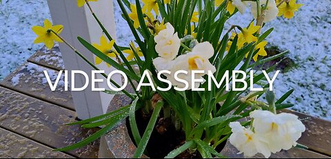 VIDEO ASSEMBLY