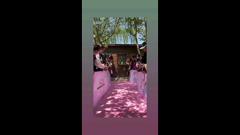 कयुट पप्पी