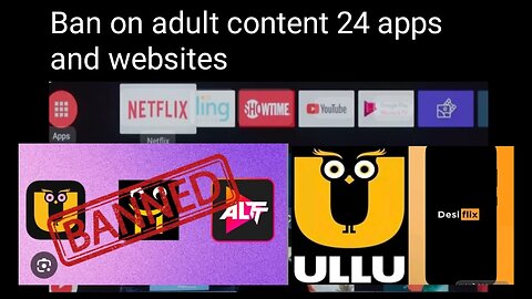 Ban on adult content apps and websites