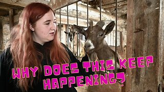 What IS WRONG With Our BUCK!
