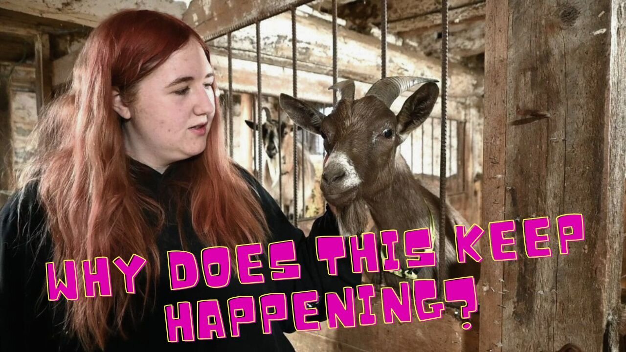 What IS WRONG With Our BUCK!