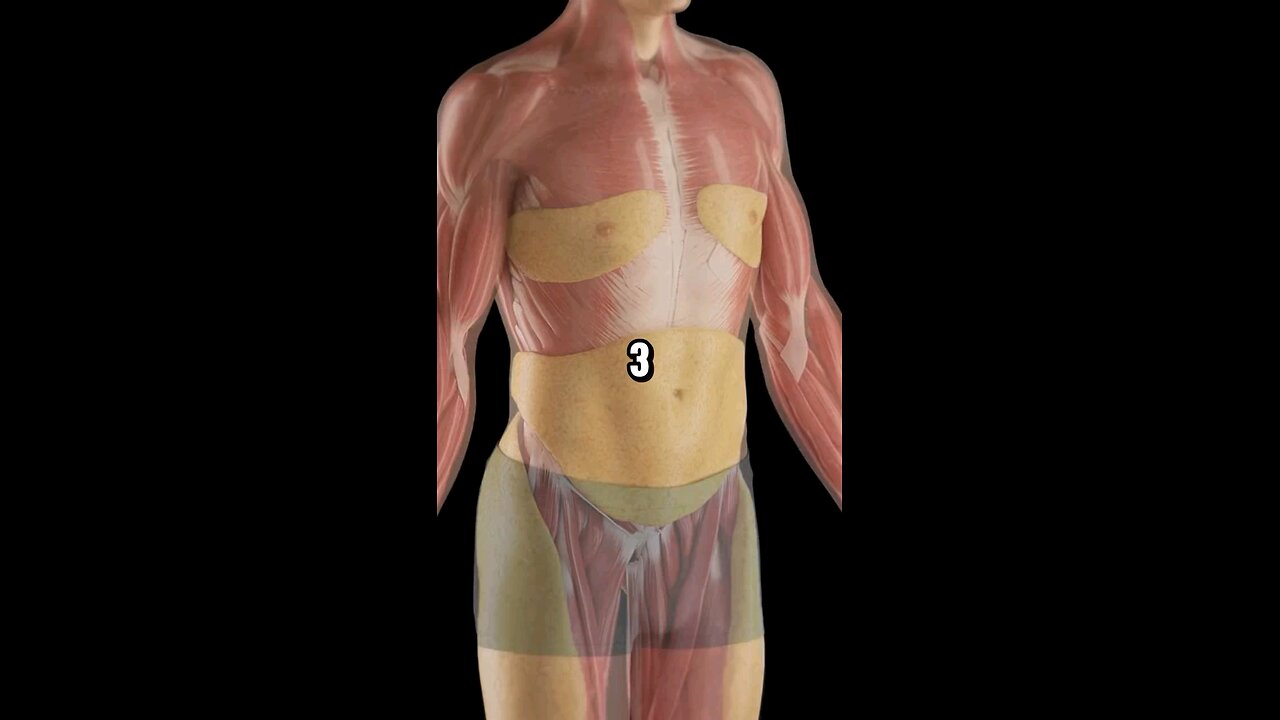 Tips to lose belly fat fast