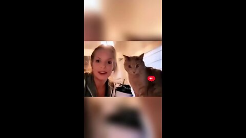 cat lovers