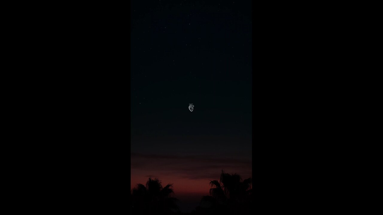 #القرآن_الكريم