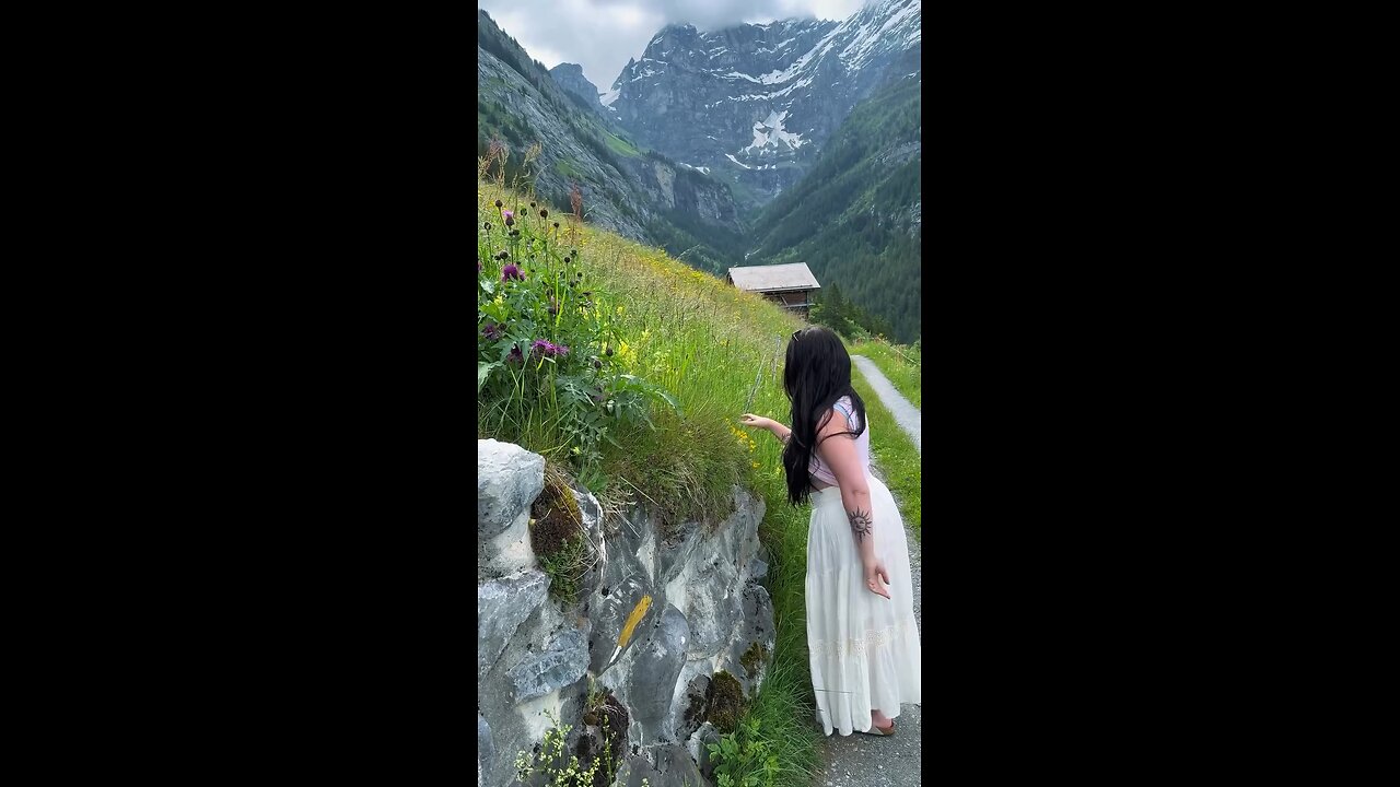 morning walk flower 🌼