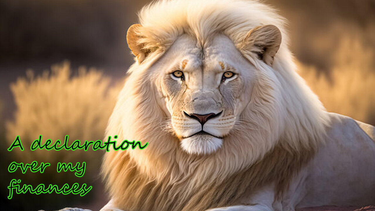 A declaration over my finances