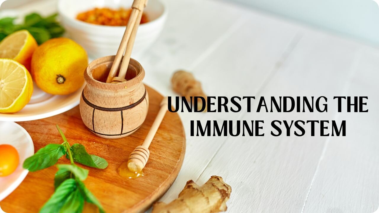 Understanding the Immune System: Your Body’s Defense Team