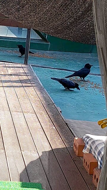 20251210. God made the world.