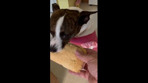 HAM Subway fer Princess