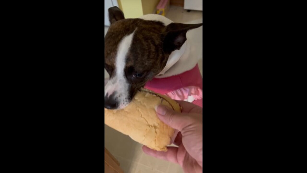 HAM Subway fer Princess