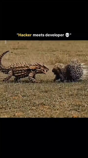 HACKER AND DEVELOPER 😂 or the FIGHT OF TWINS