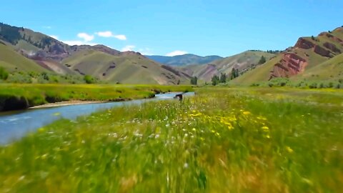 Nature View