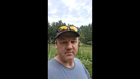 In the garden
