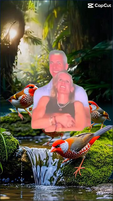 Whoa look at these two