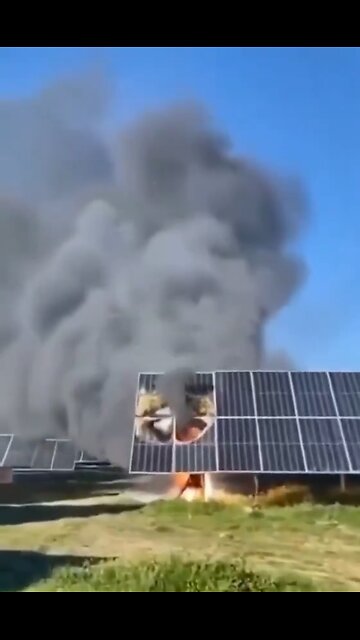 Solar Panels Burning Causing The Felling Of Thousands Of Olive Trees In Andalusia Spain