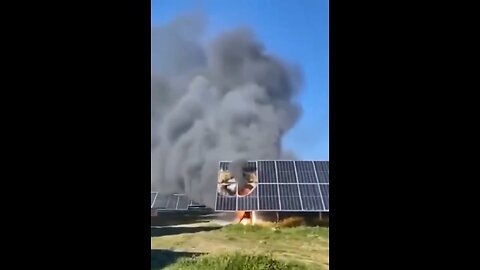Solar Panels Burning Causing The Felling Of Thousands Of Olive Trees In Andalusia Spain