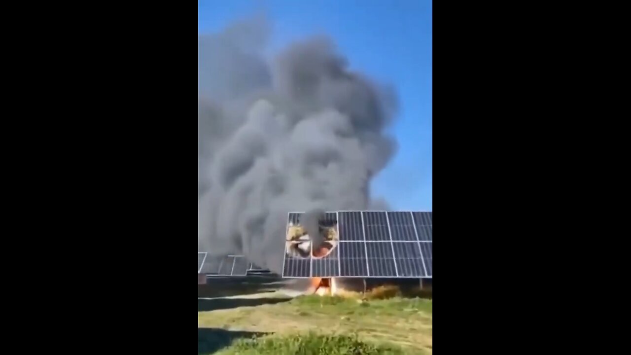Solar Panels Burning Causing The Felling Of Thousands Of Olive Trees In Andalusia Spain