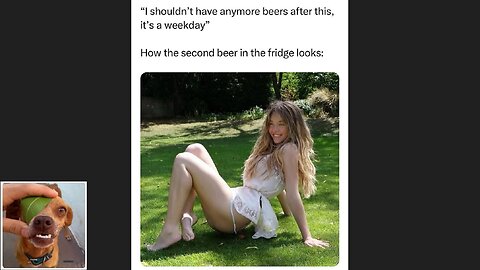 Memes That Will 99.0305% Make You Laugh. (e529)