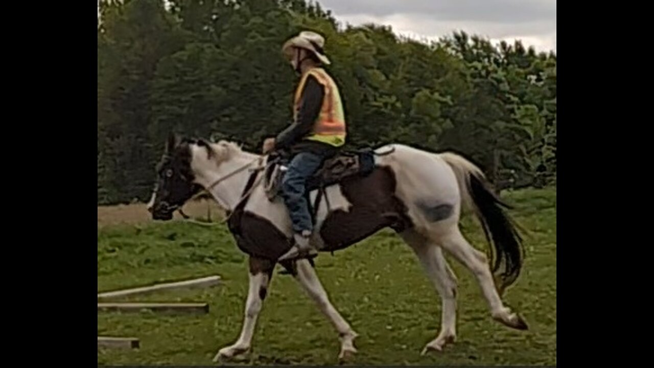 Oakley - eleventh ride - tenth ride under saddle 17 May 2025