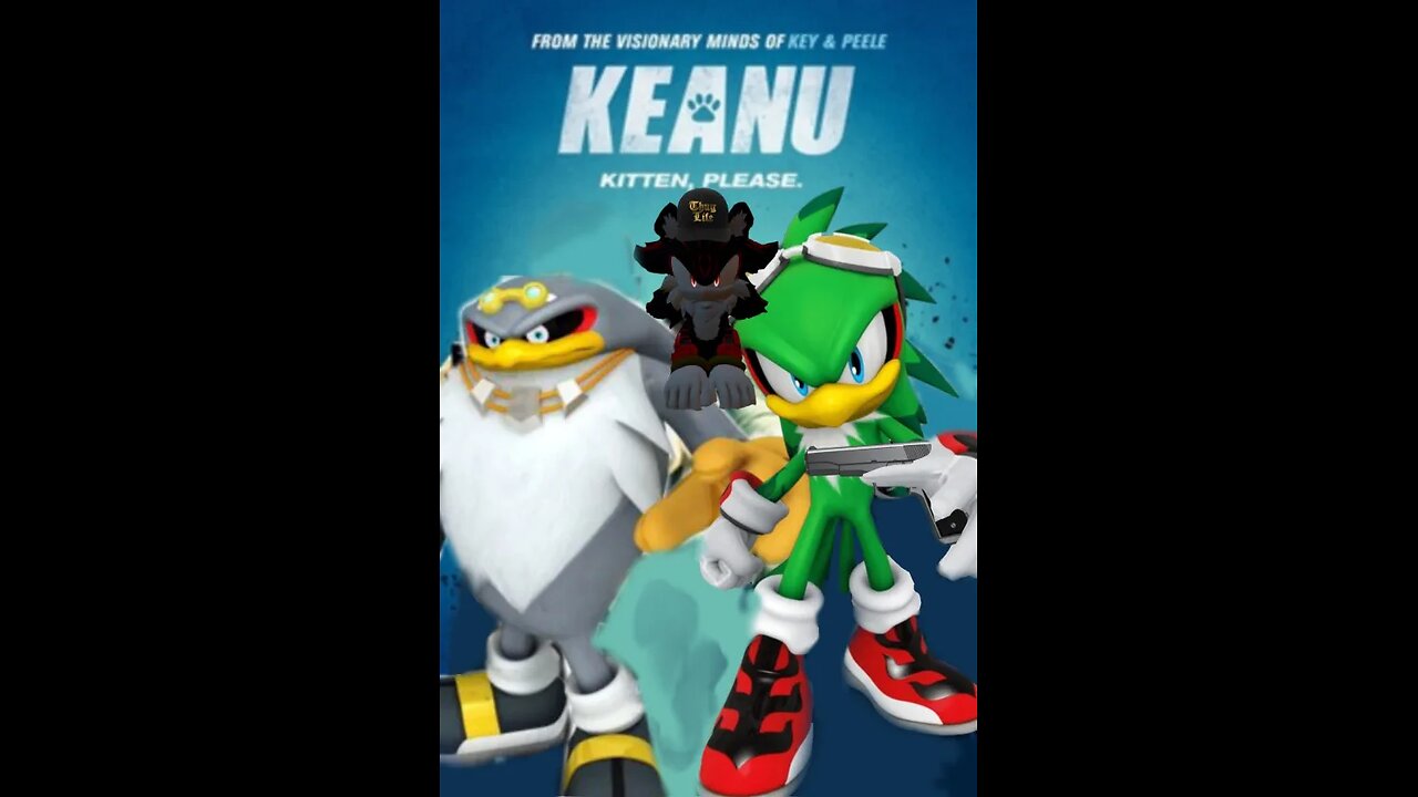 Keanu Shadow The HedgCat, Meow - Not cute