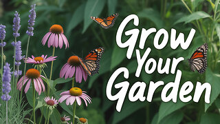 Simple Ways to Attract Pollinators to Your Garden