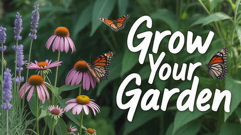 Simple Ways to Attract Pollinators to Your Garden