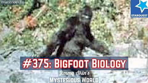 Bigfoot Biology (Sasquatch, Cryptid, Cryptozoology) - Jimmy Akin's Mysterious World