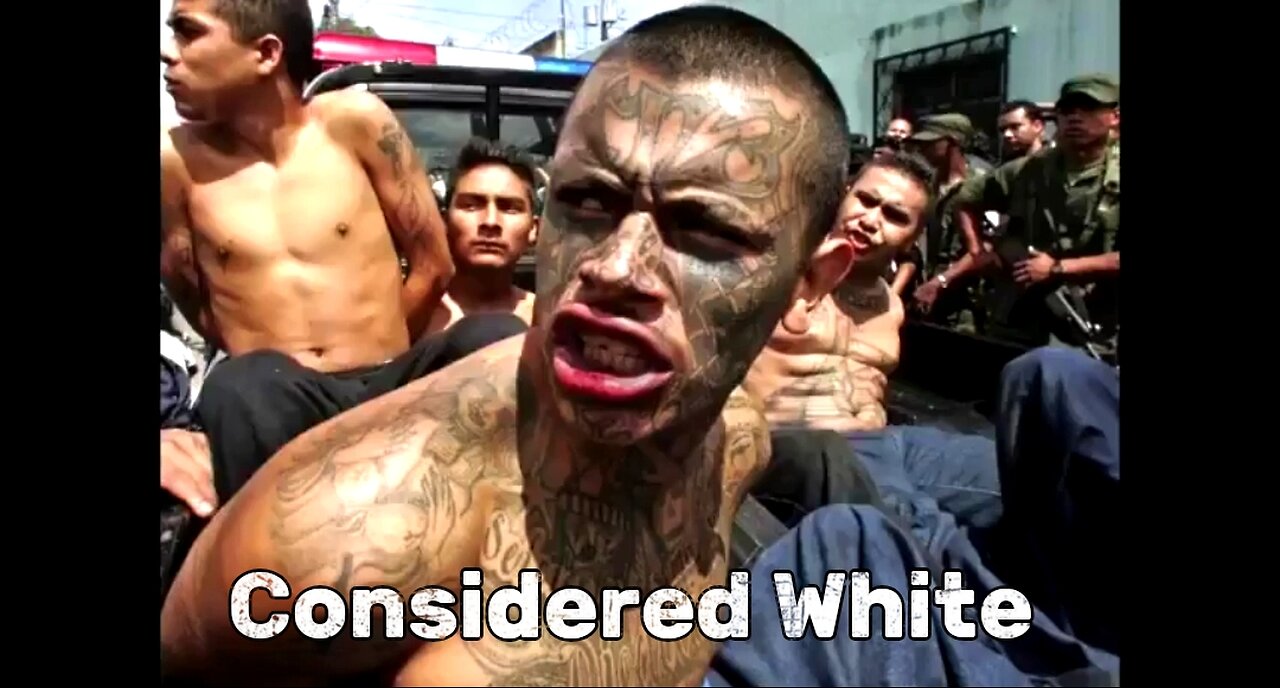 GOOD SH!T! - VIDEO TITLED: "HOW THE FBI MANIPULATES CRIME STATISTICS BY RACE" 🔥