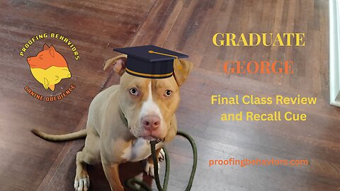 George Graduate: Recall cue and Final review