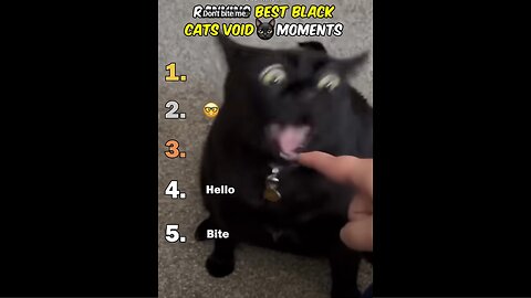 Black Cats Void Best Moments Ranked