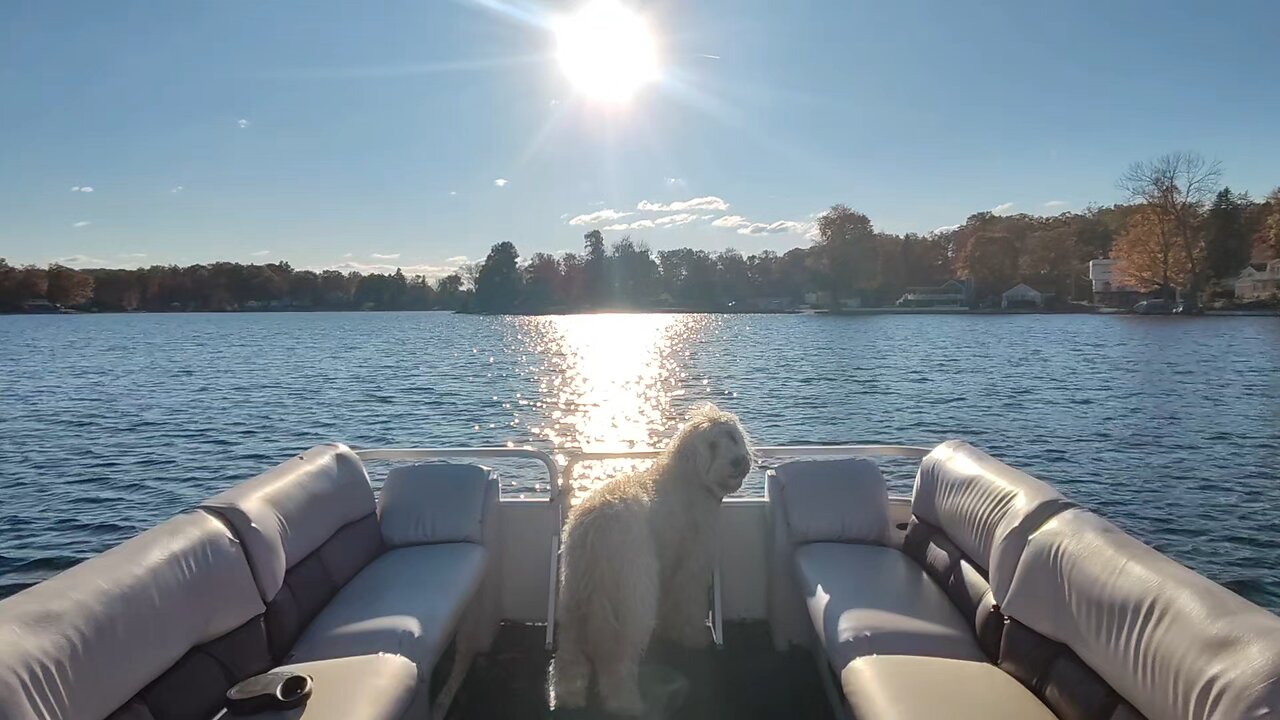 Last boat ride of the year... Time to put 'er away... Yoshi misses it already...