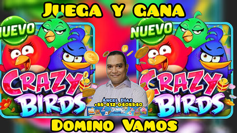Gana con Crazy Birds de Dominó vamos