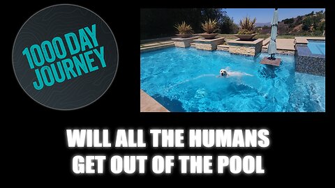 1000 Day Journey 0779 Will All the Humans Get Out of the Pool 