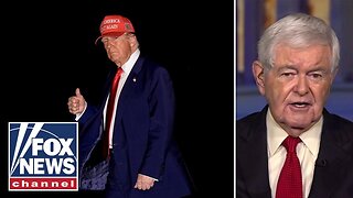 Newt Gingrich: The Left is 'Terrified' and Lying Relentlessly About Trump