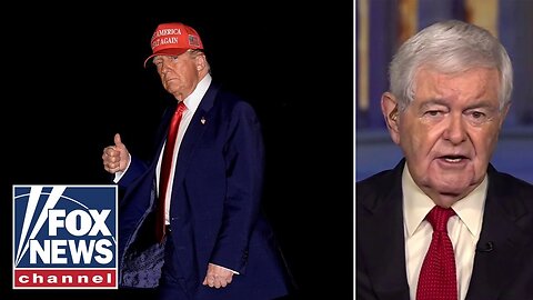 Newt Gingrich: The Left is 'Terrified' and Lying Relentlessly About Trump