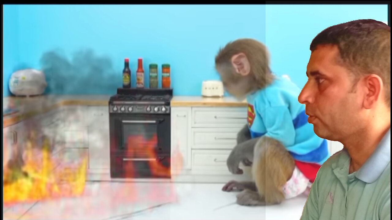 bonmonkrykiki fire the hone!! animalht vedio