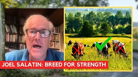 Joel Salatin: LIVESTOCK HEALTH Through GENETICS?