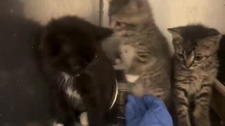 😂😱 Bro Sprinkled Holy Water! | FunFM
