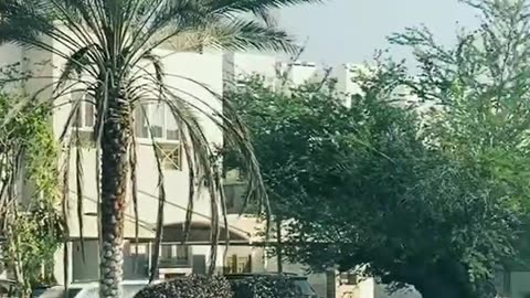 🏎️💨 The Ultimate Ferrari Experience! | LuxurySportsCars