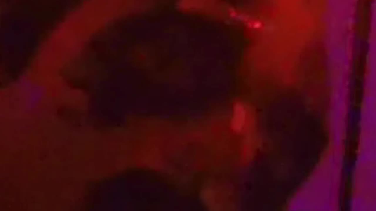 SUICIDAL IDEATIONS (LIVE)