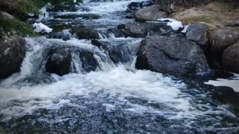 🔥Surah Ibrahim 14:38–39🤲✨سورہ ابراہیم #love #quran #viral #shorts #trending #shortvideo #viralvideo