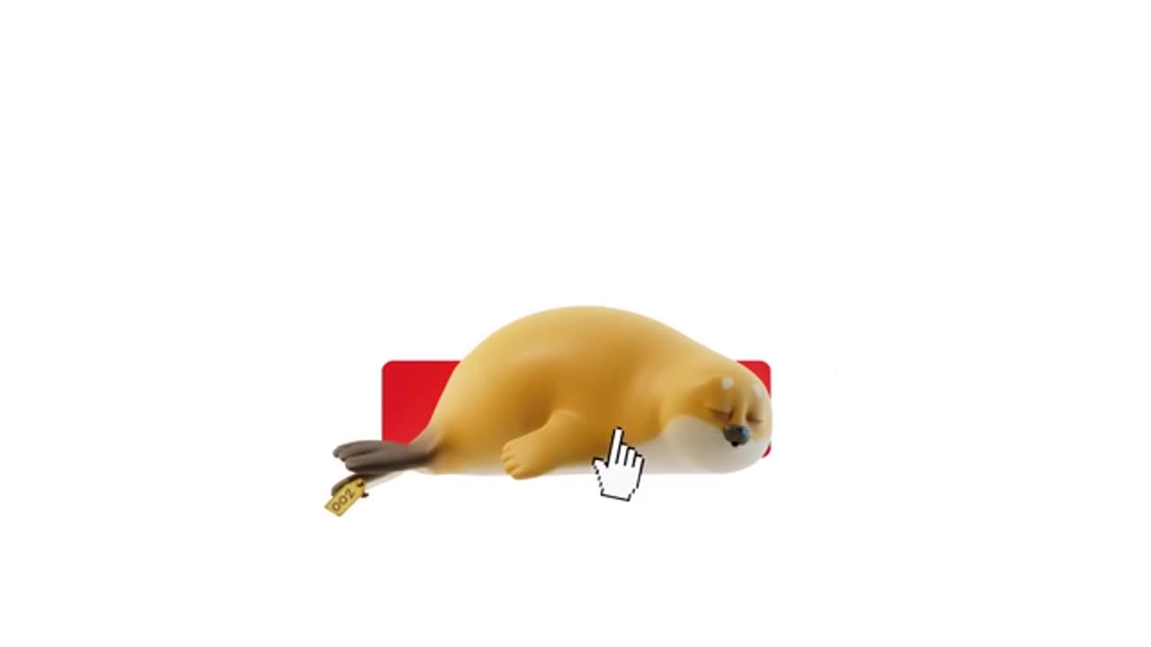 How the seals deal with winters 🥶🧊